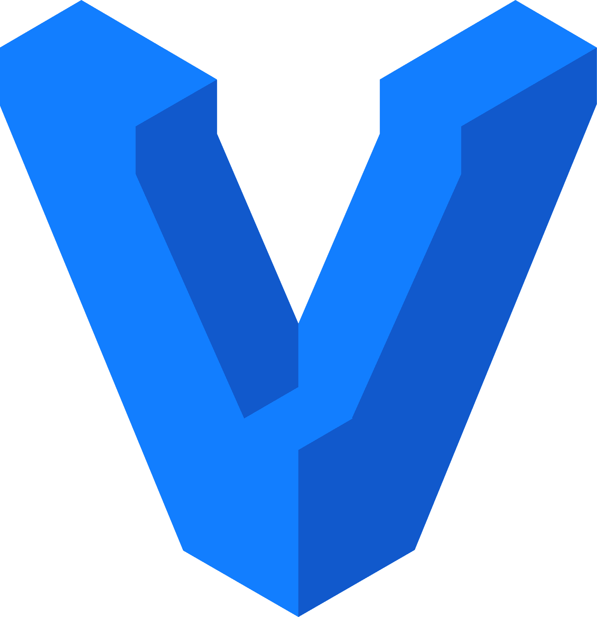 Vagrant